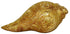Brass Vishnu Shankh Statue 1.55Kg